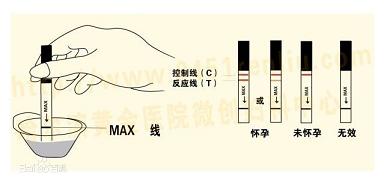 早孕试纸检查准吗